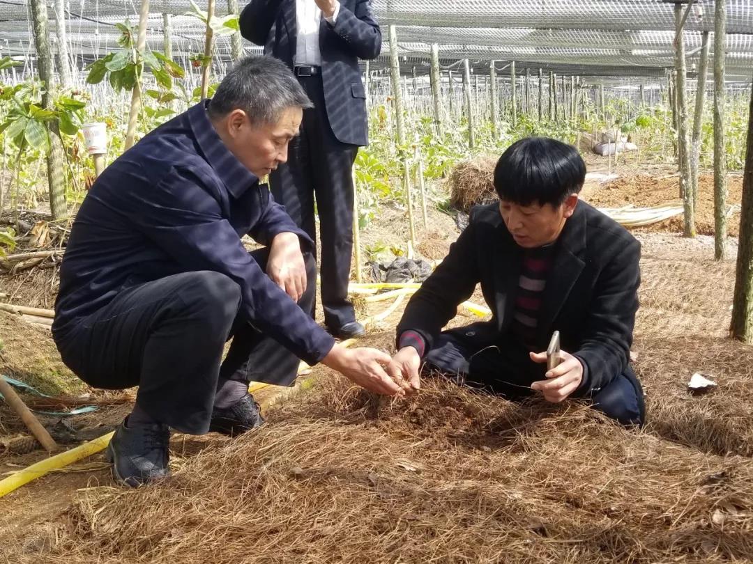 尊龙凯时·人生就是搏·(中国区)官方网站