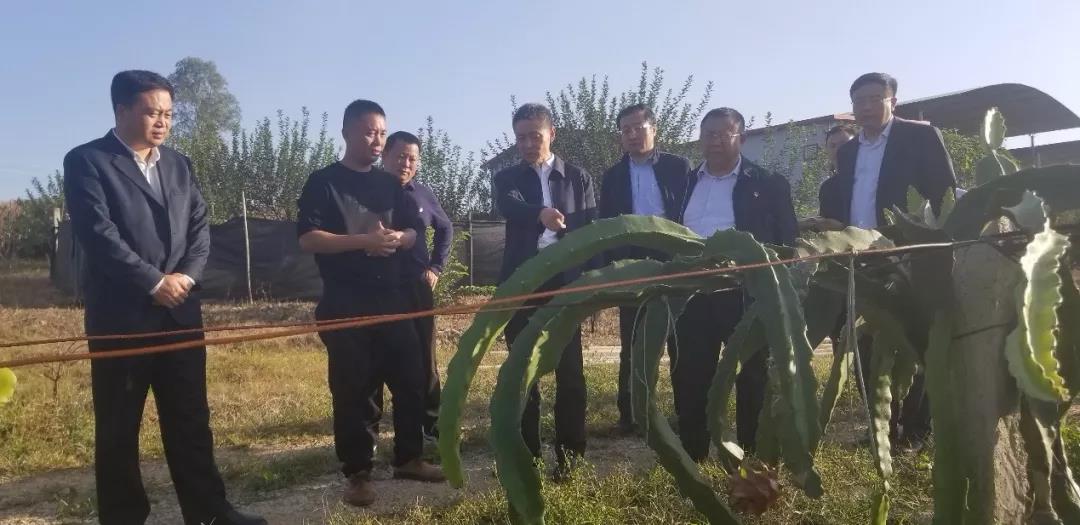 尊龙凯时·人生就是搏·(中国区)官方网站