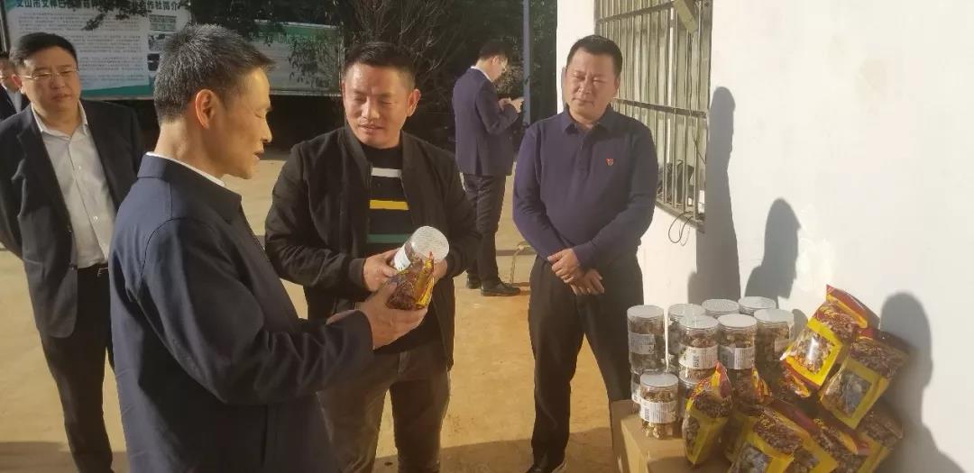 尊龙凯时·人生就是搏·(中国区)官方网站